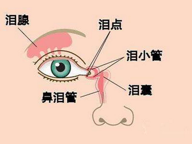 误诊率最高的眼病之一泪小管炎