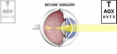 459_211gif 动态图 动图