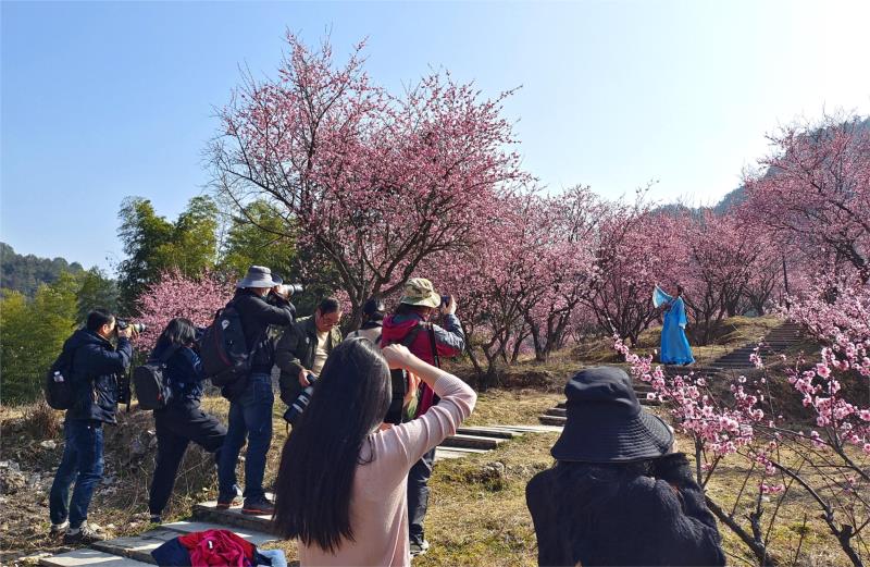 2花絮.jpg