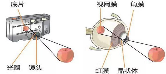 微信图片_20210309103811_缩小大小.jpg