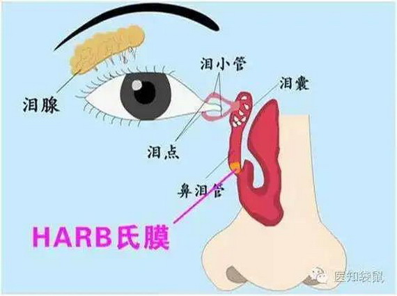 微信图片_20210309134346_缩小大小.jpg