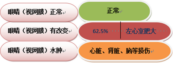 图片5_缩小大小.png