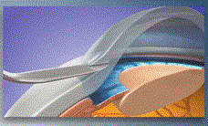 clip_image002.gif