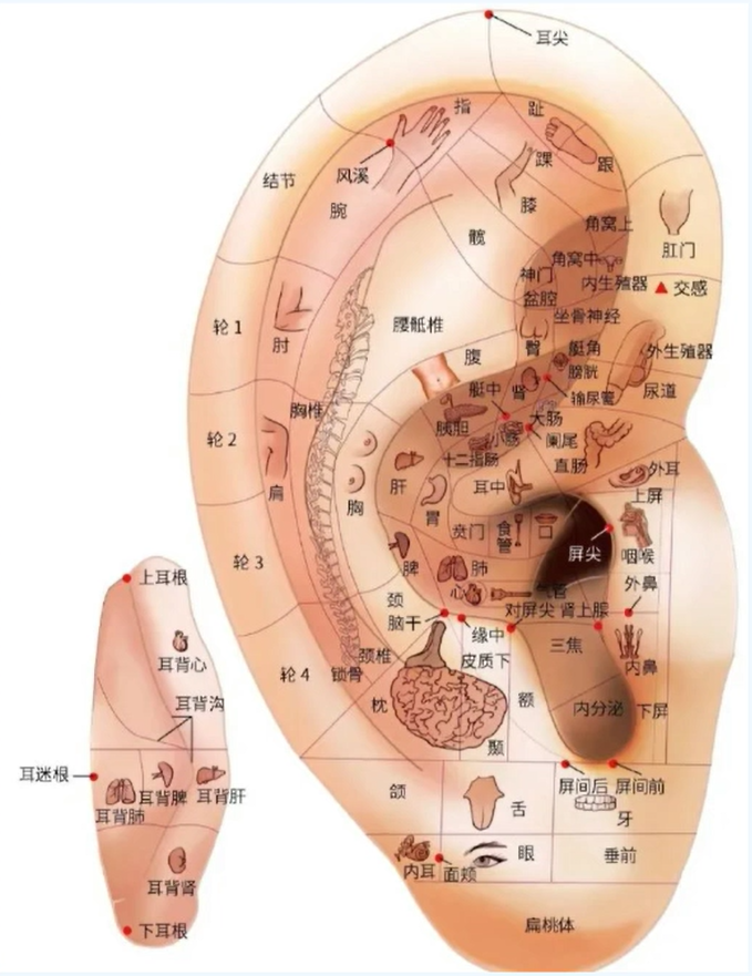 08e6cc9056cab9f2aa56d971a087c6b.png